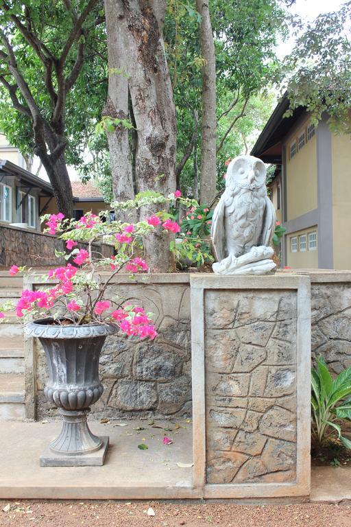 Lake Lodge Boutique Hotel Дамбулла Экстерьер фото